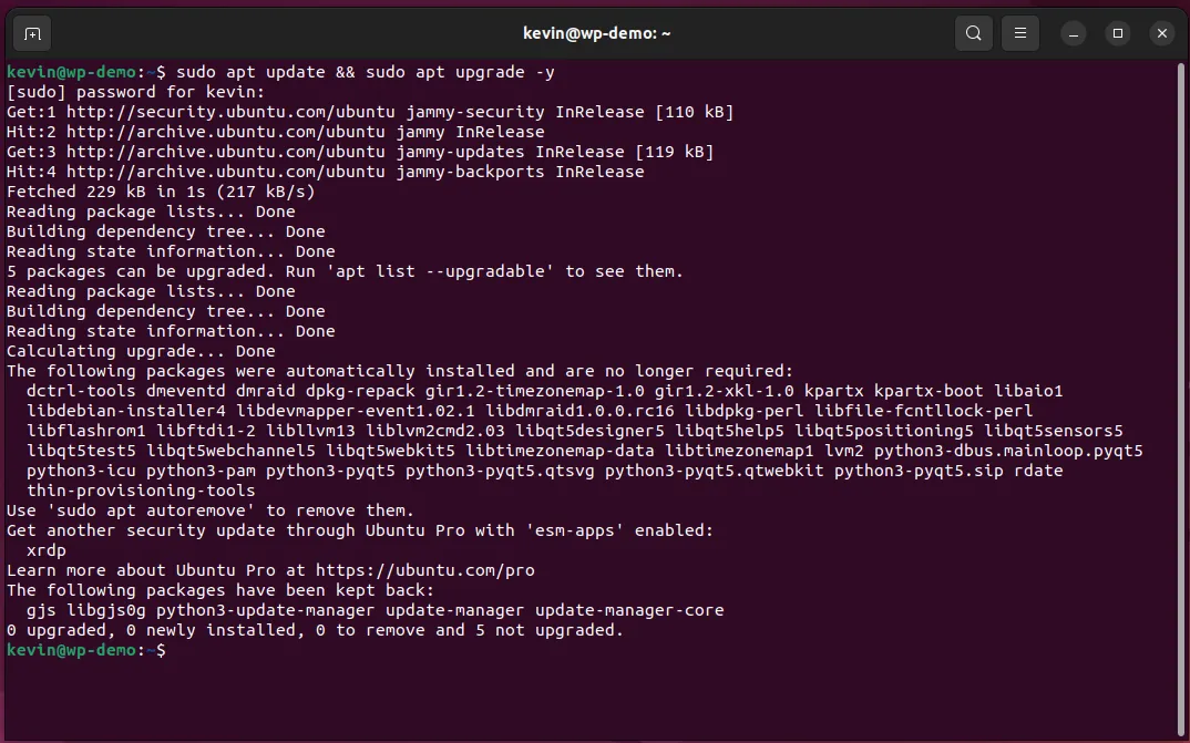 Ubuntu APT Update